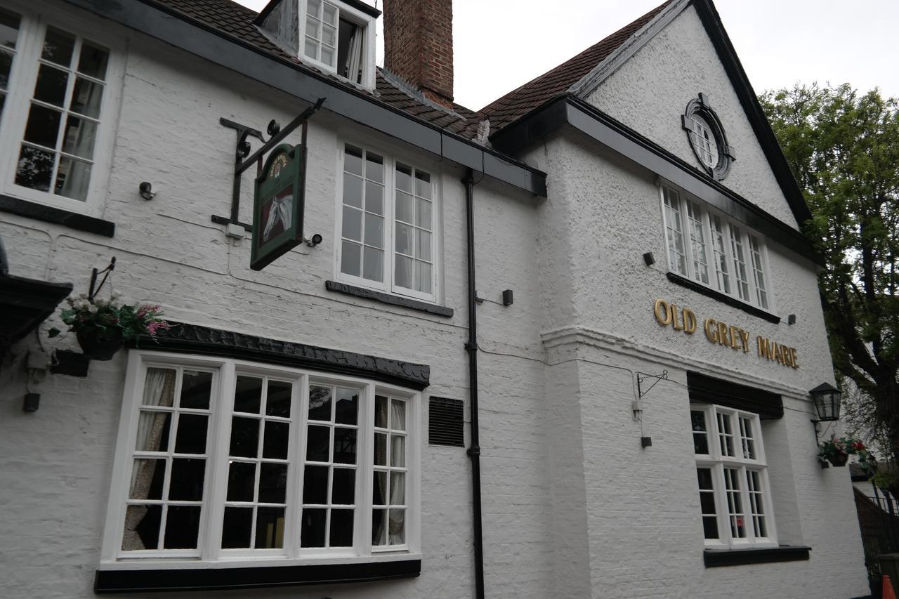 Old Grey Mare Hotel York Exterior photo